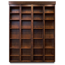 Bookcase Murphy Bed